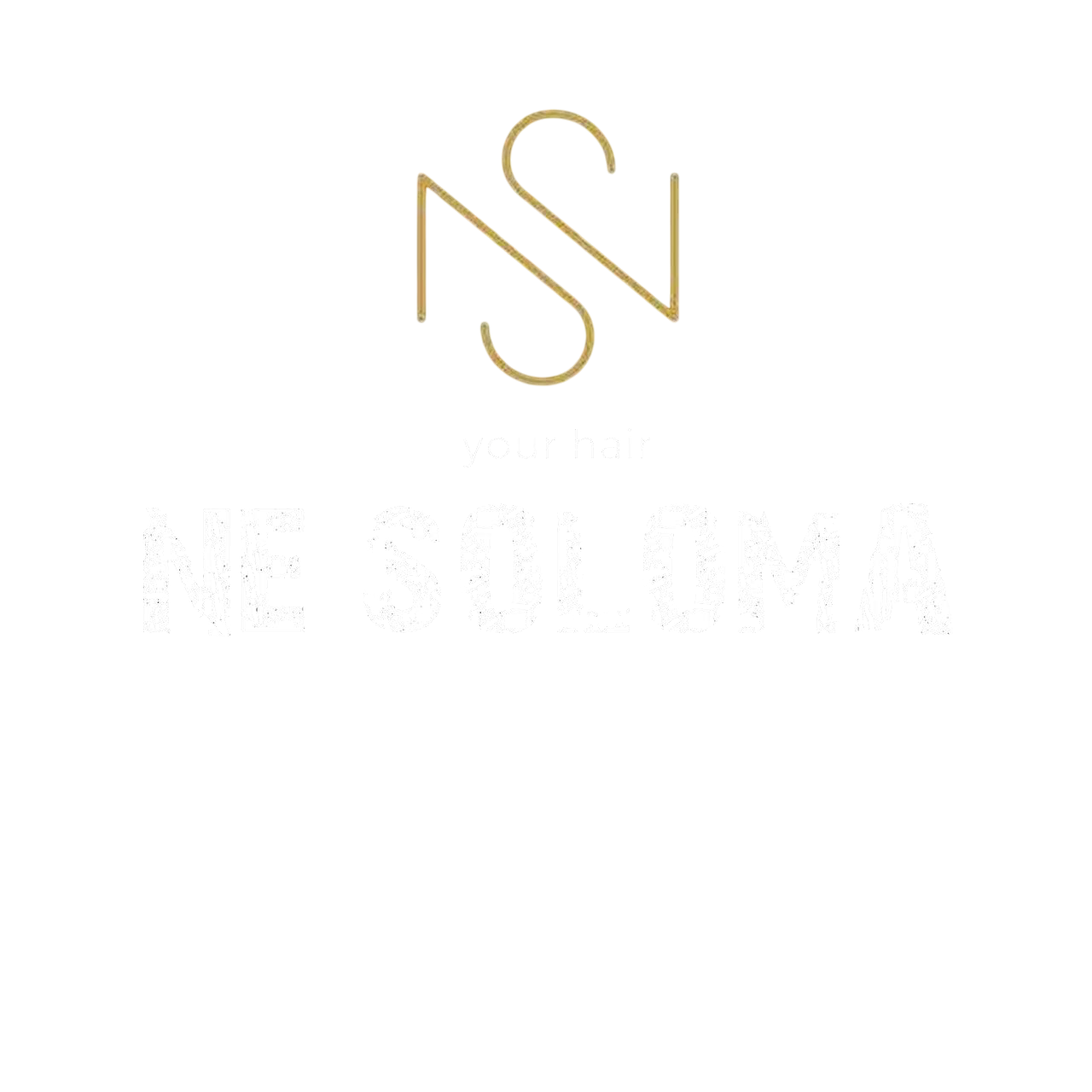NE SOLOMA Logo